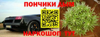 дурь Заводоуковск