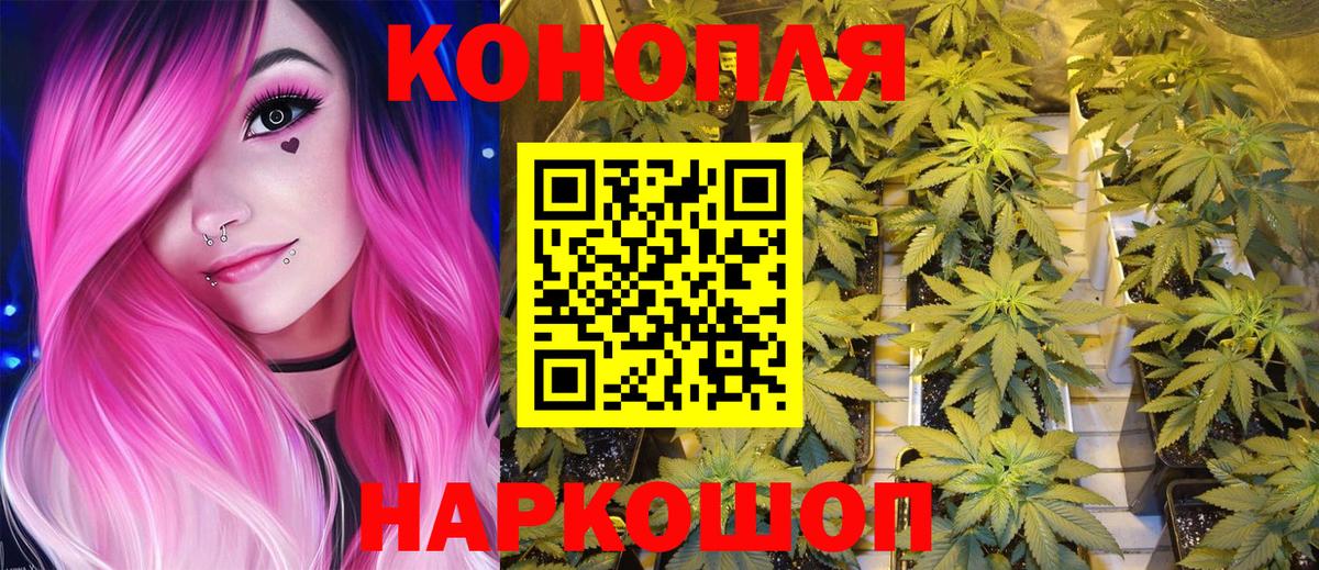Канабис AK-47 Лабытнанги